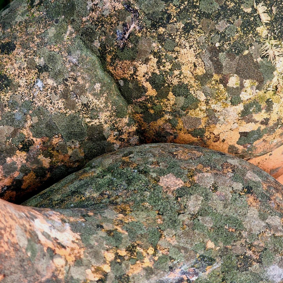 2 terra cotta chickens