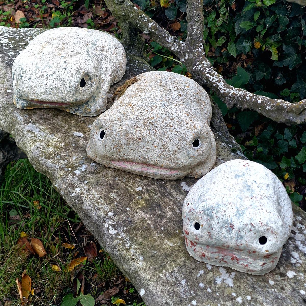 3 Taugourdeau frogs