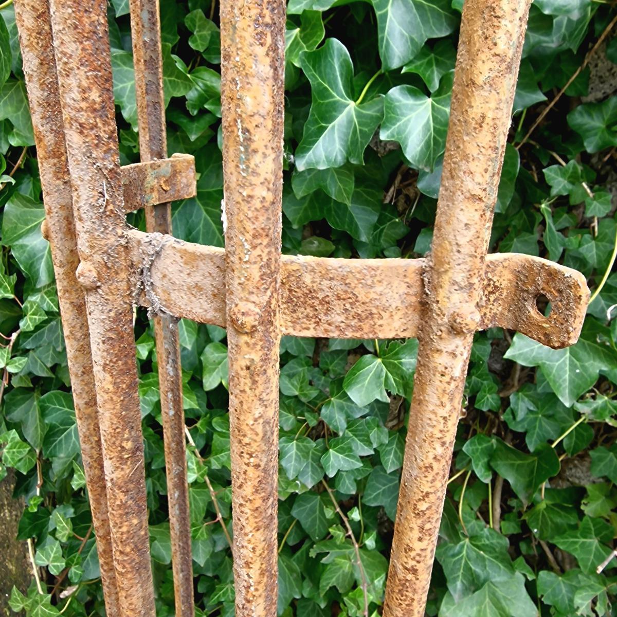 4 high tree protectors