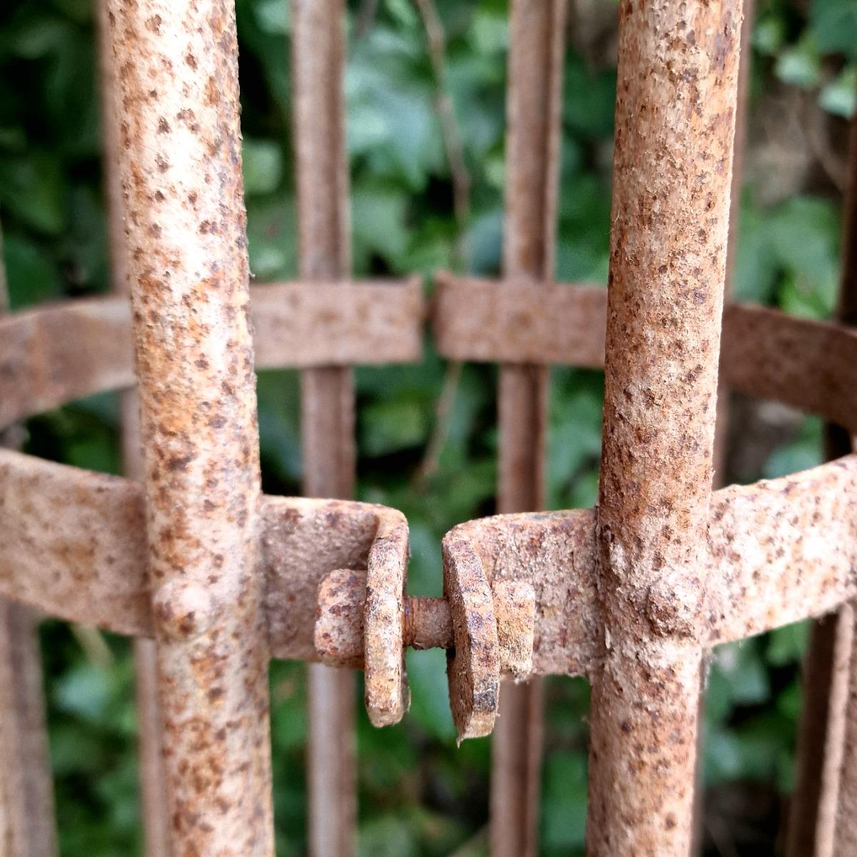 4 high tree protectors