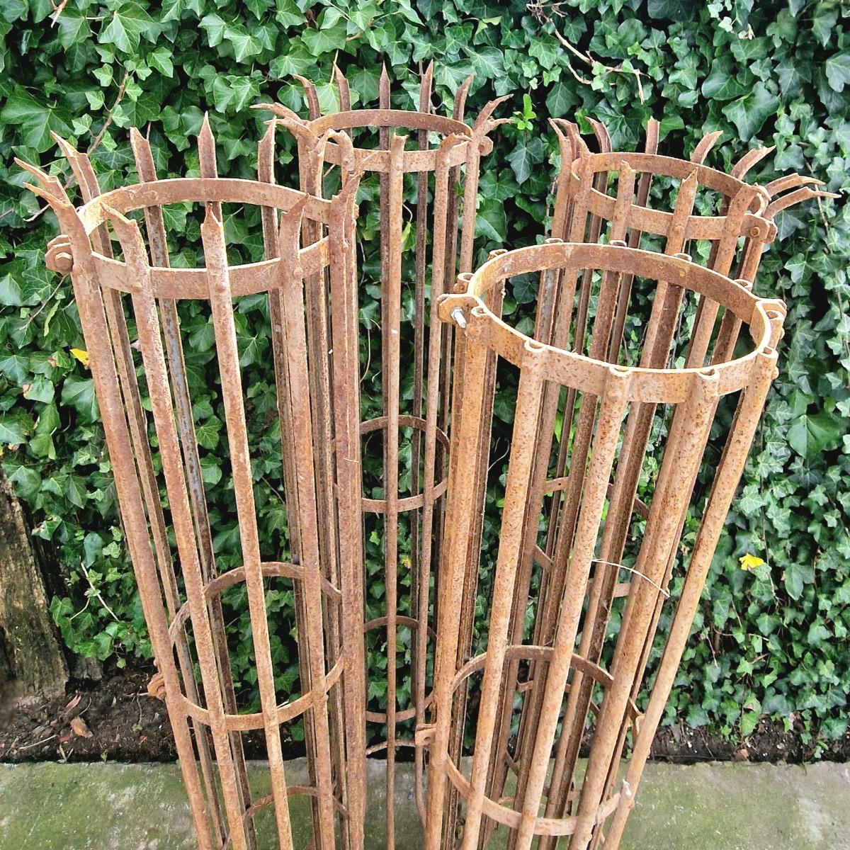 4 high tree protectors