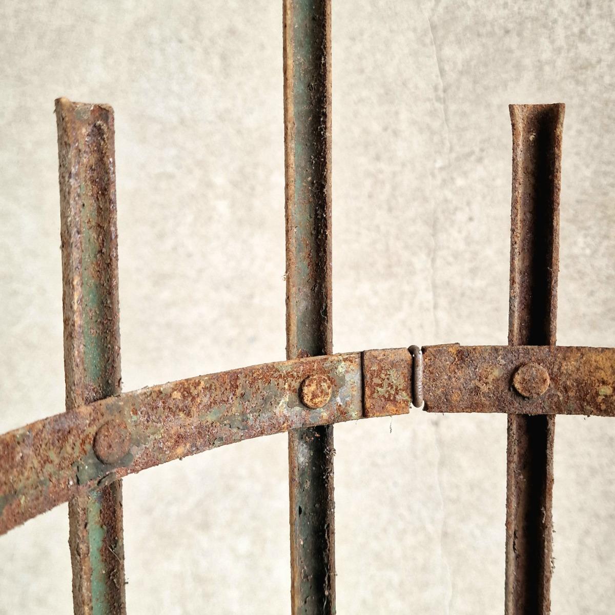 4 large tree protectors