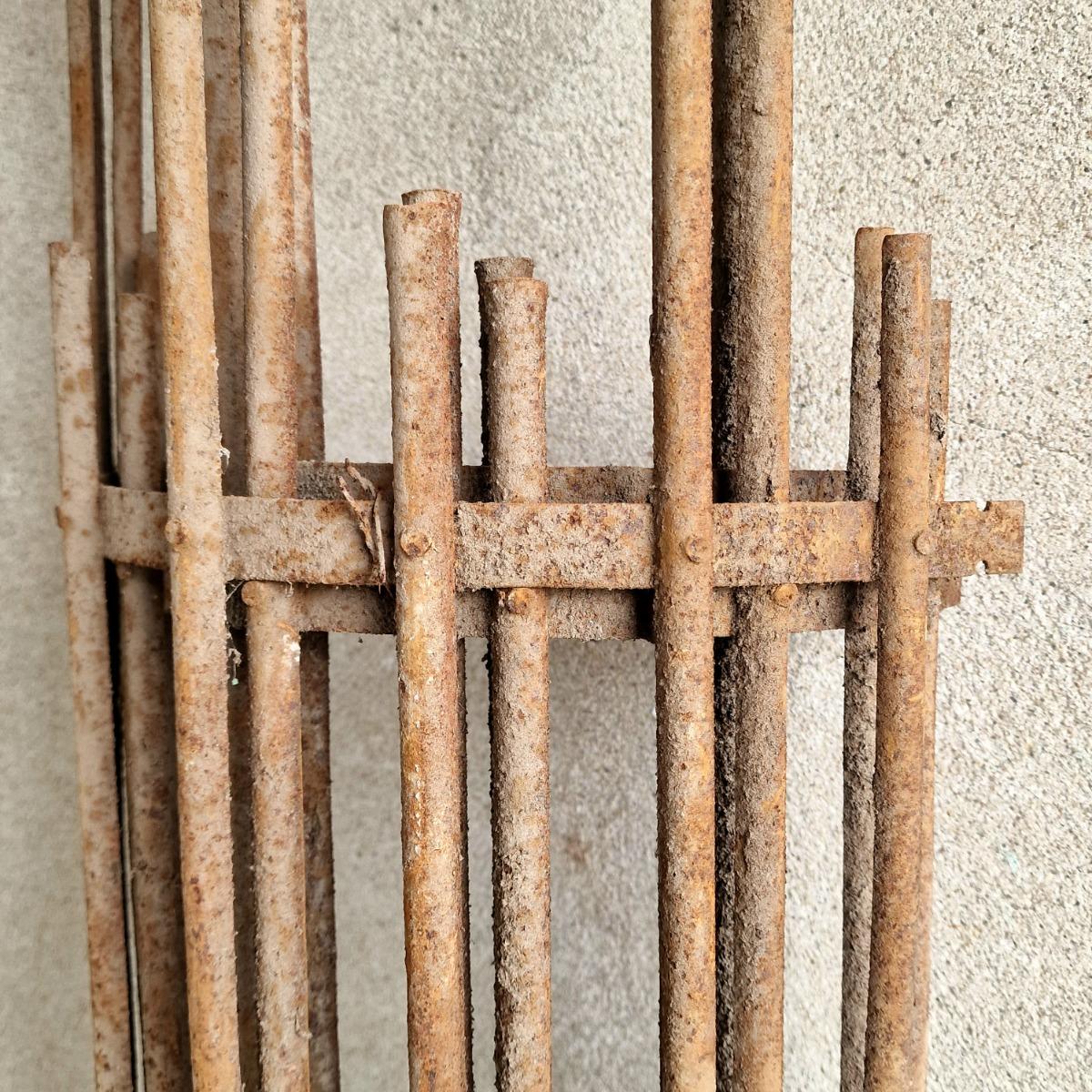 4 large tree protectors