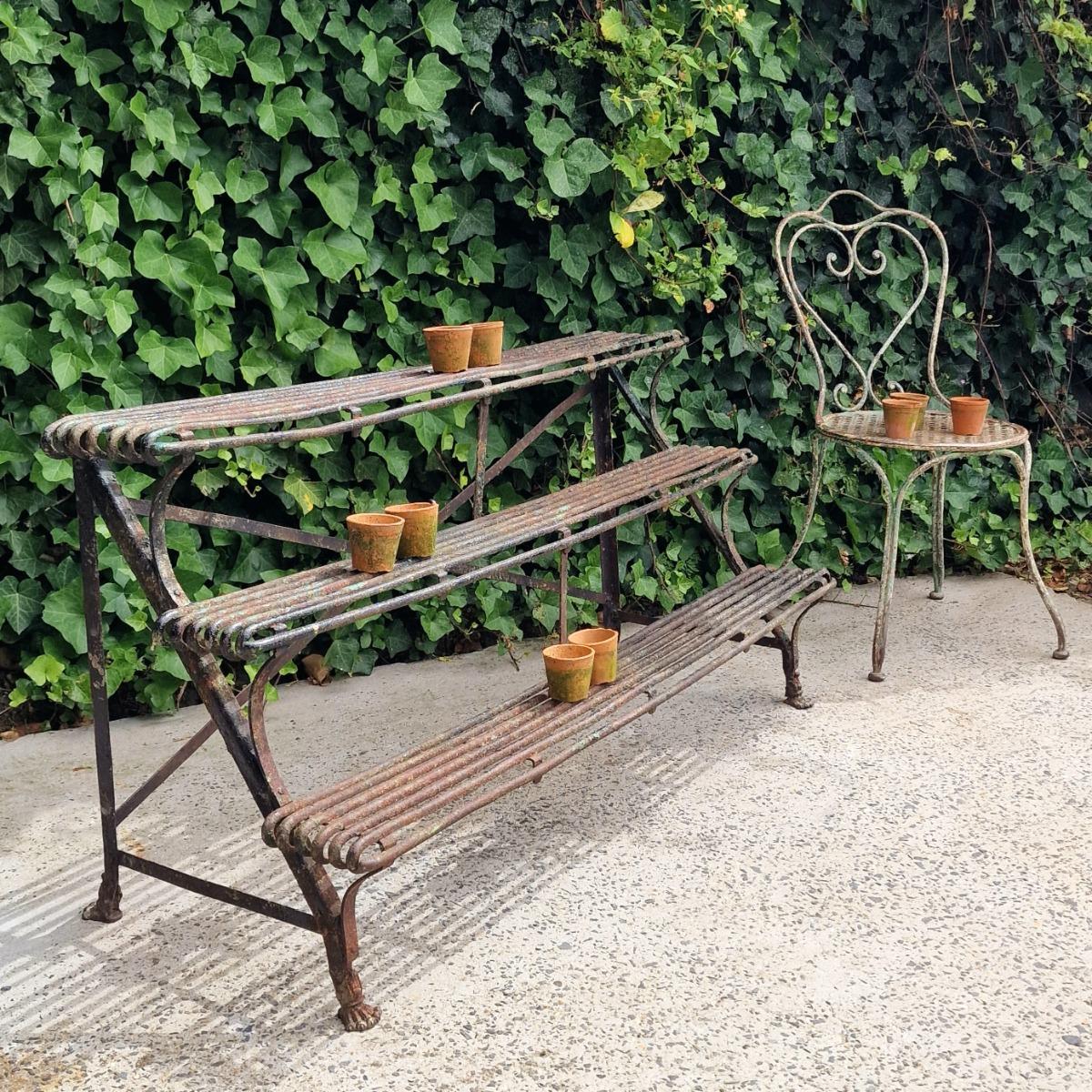 Arras plant rack