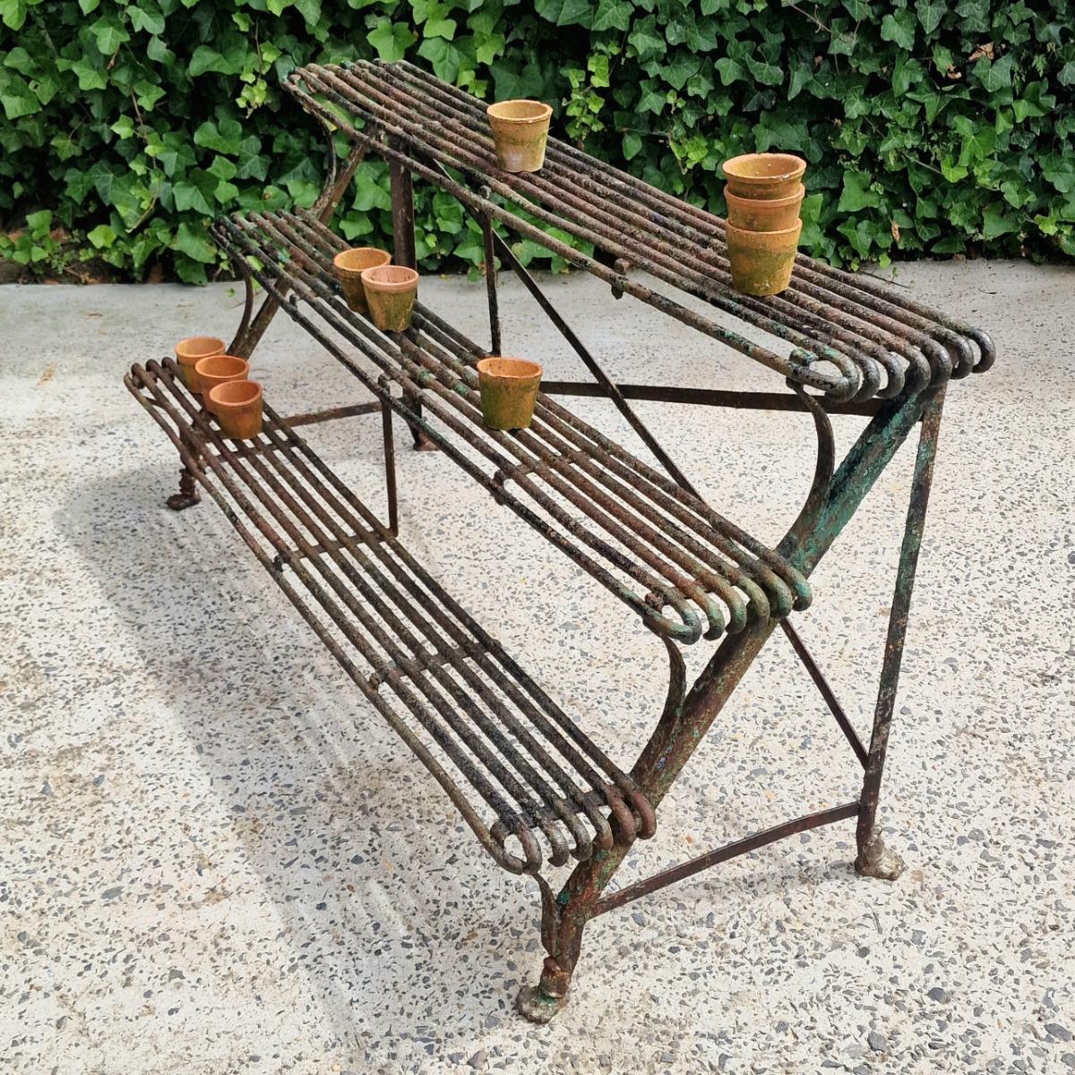 Arras plant rack