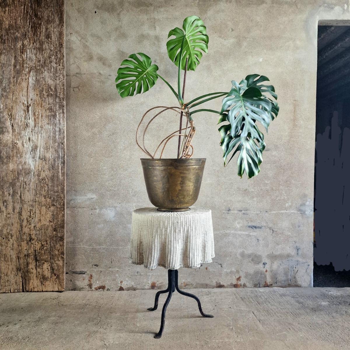 Brass sugar pot planter