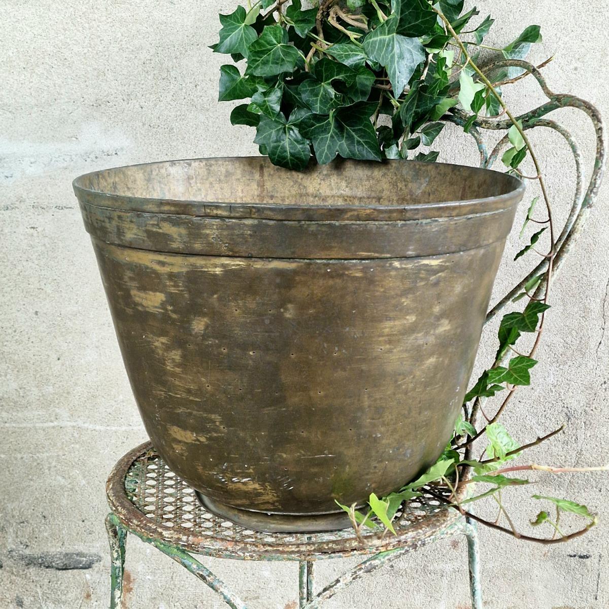 Brass sugar pot planter