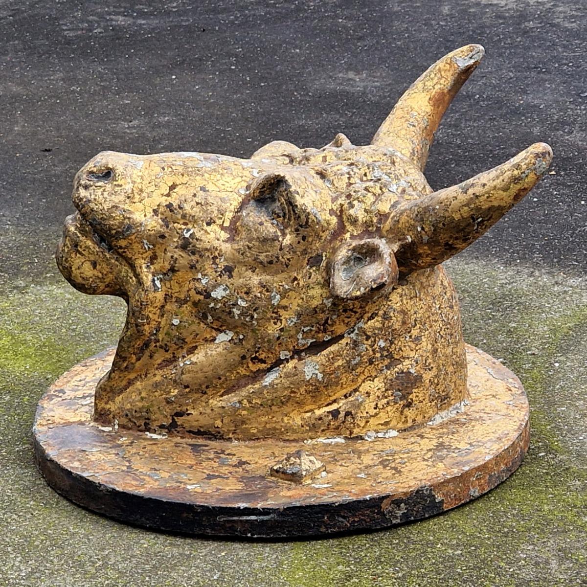 Cast iron bull's head