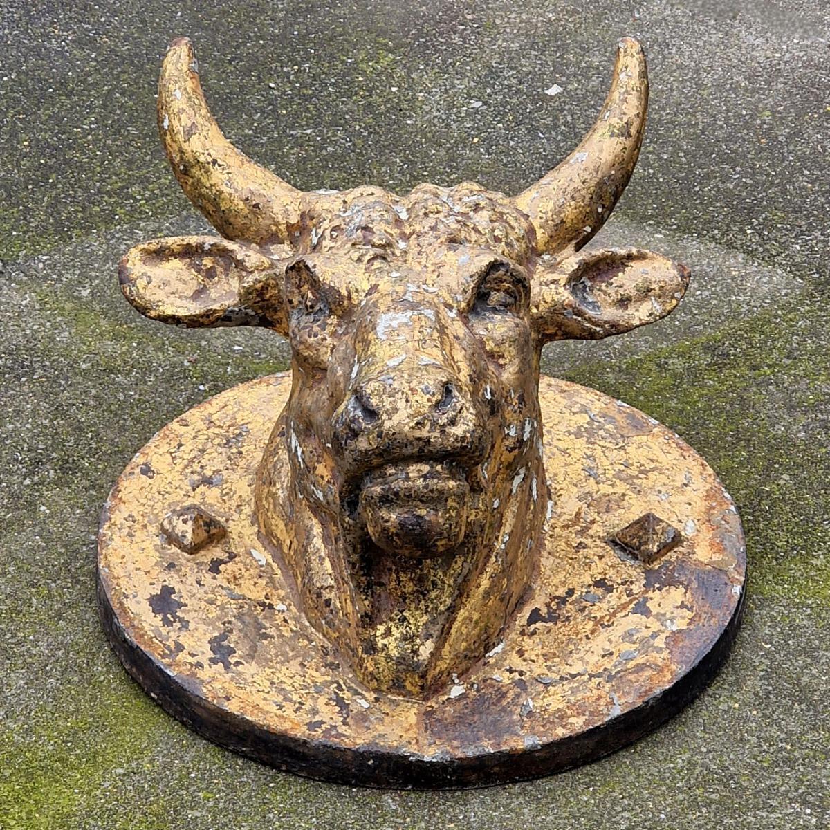 Cast iron bull's head