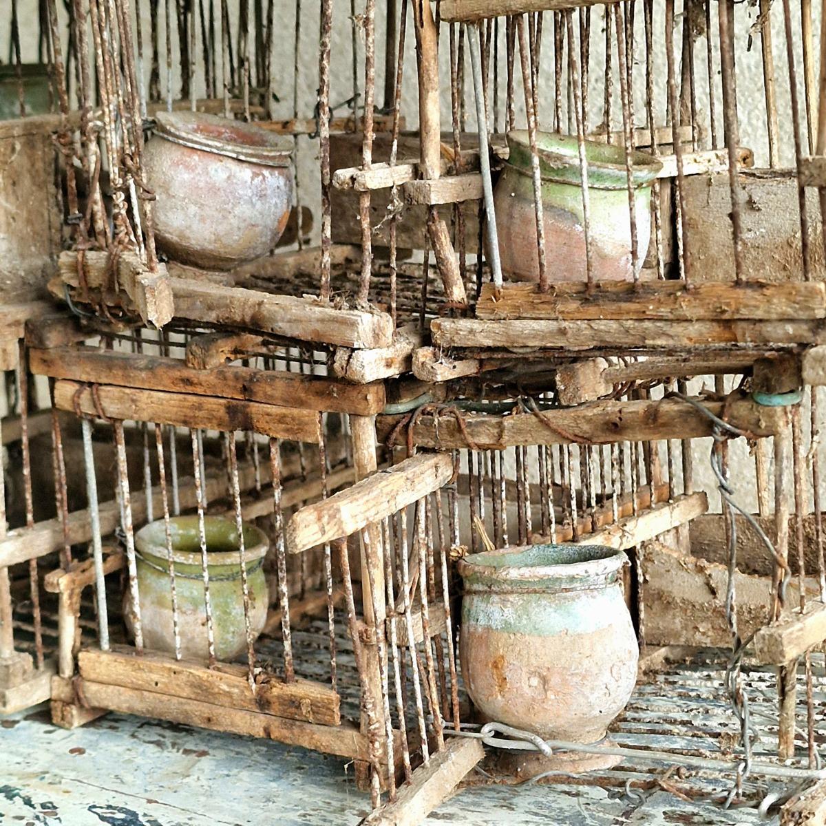 Composition of 17 birdcages