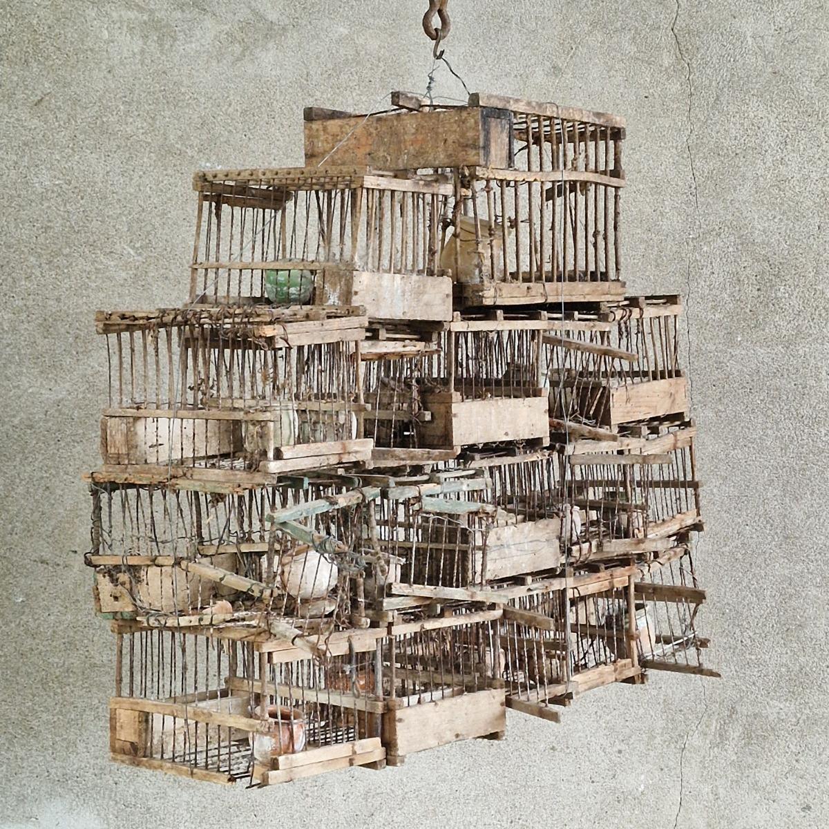 Composition of 17 birdcages