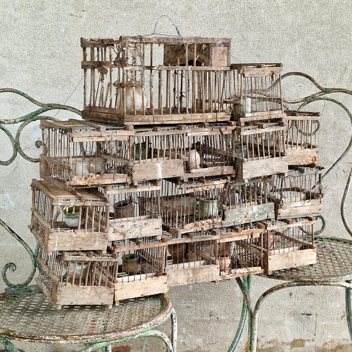 Composition of 17 birdcages