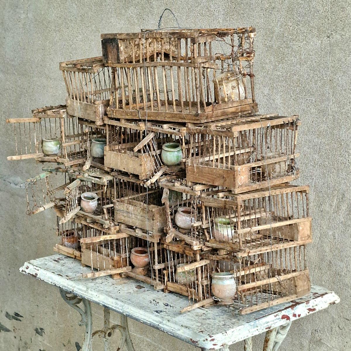 Composition of 17 birdcages