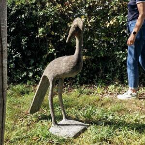 E.Taugourdeau paradise bird