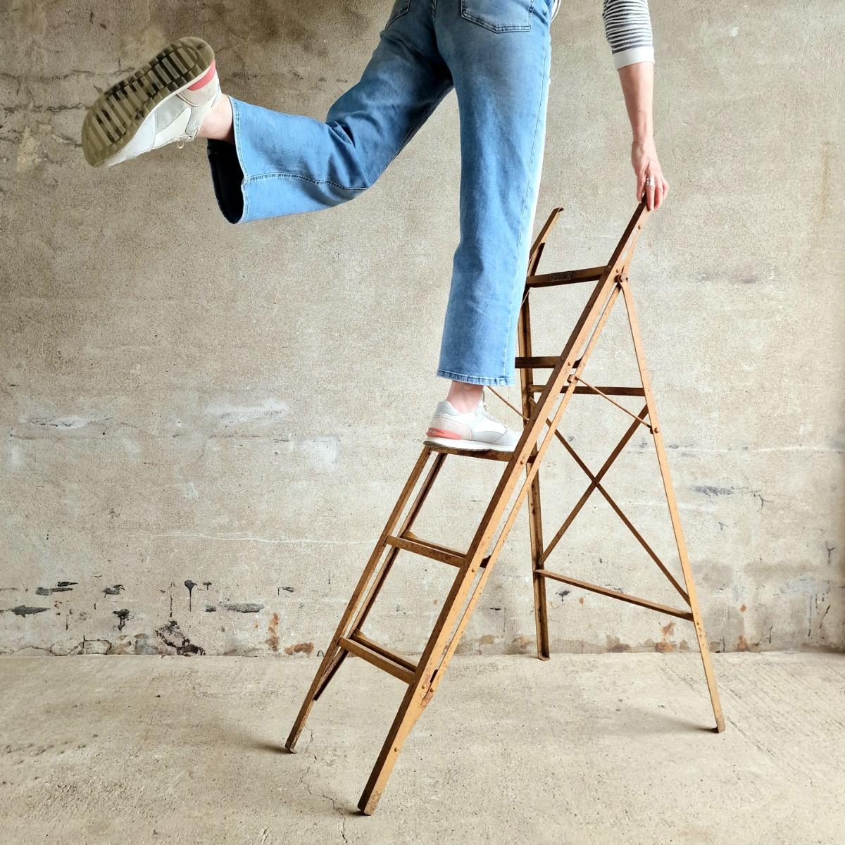 Folding metal ladder