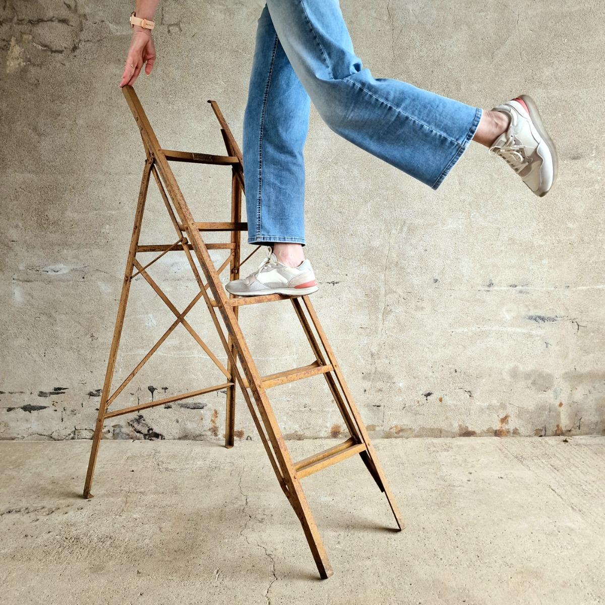 Folding metal ladder