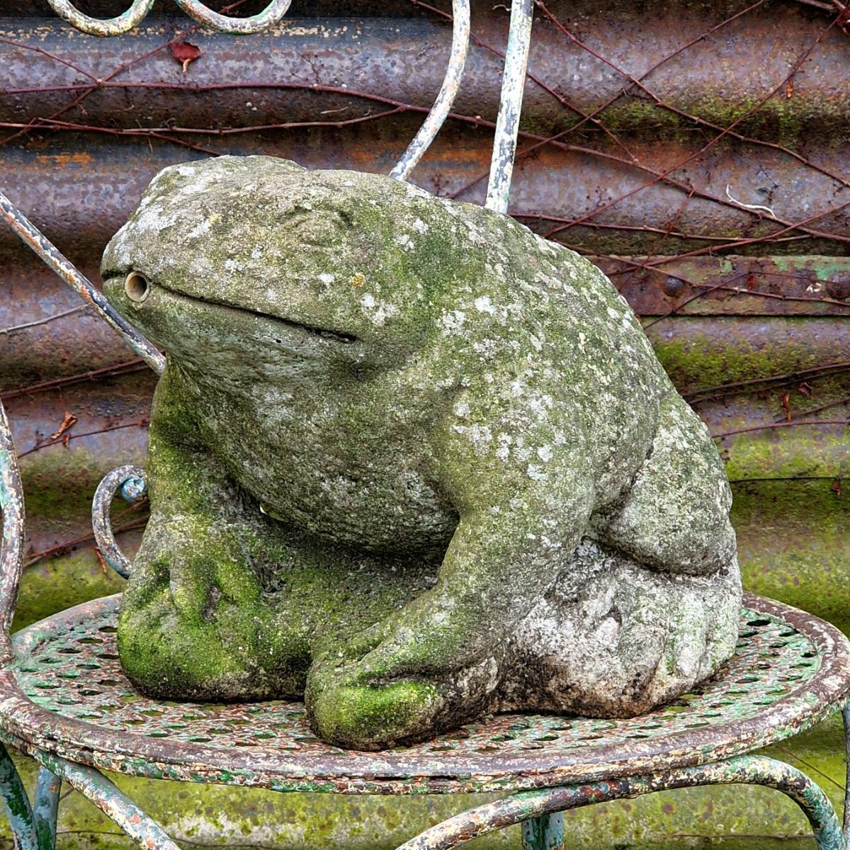 Frog fountain