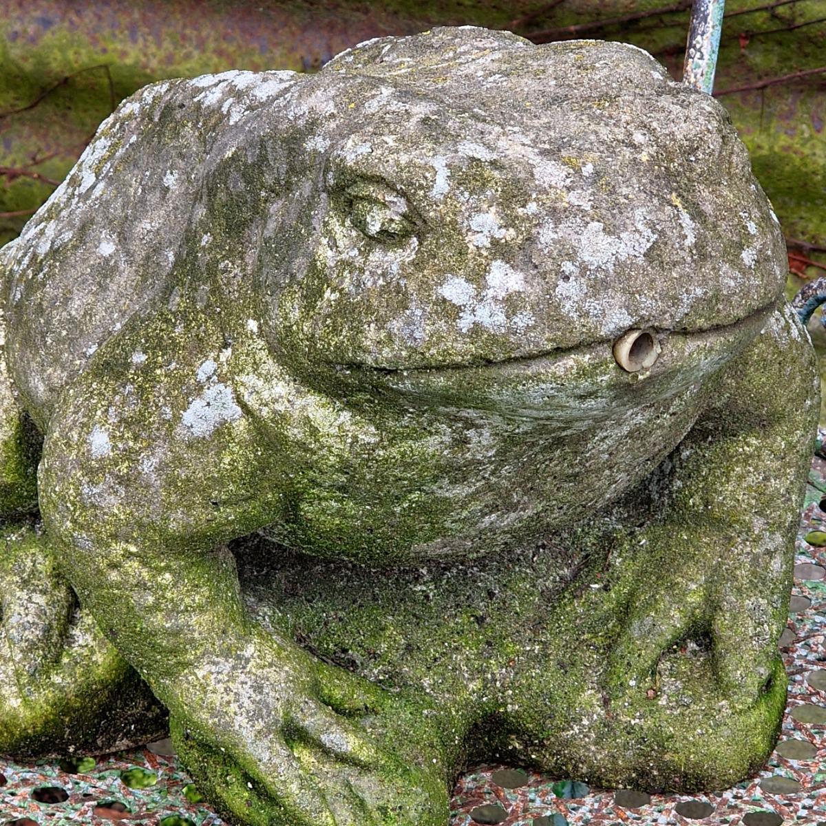 Frog fountain
