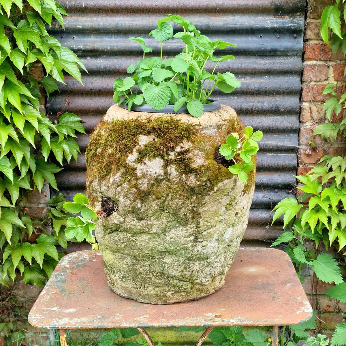 Large strawberry planter