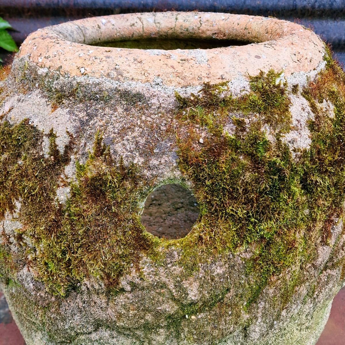 Large strawberry planter