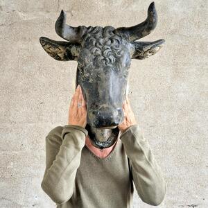 Large zinc bull's head