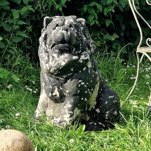 Life-size Chow chow dog