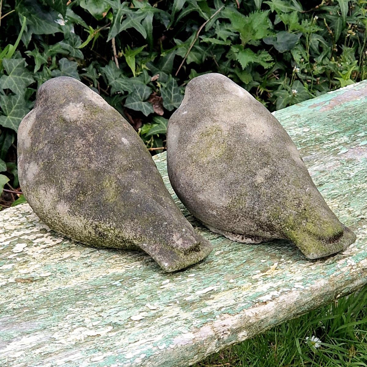 Pair of cast stone pigeons