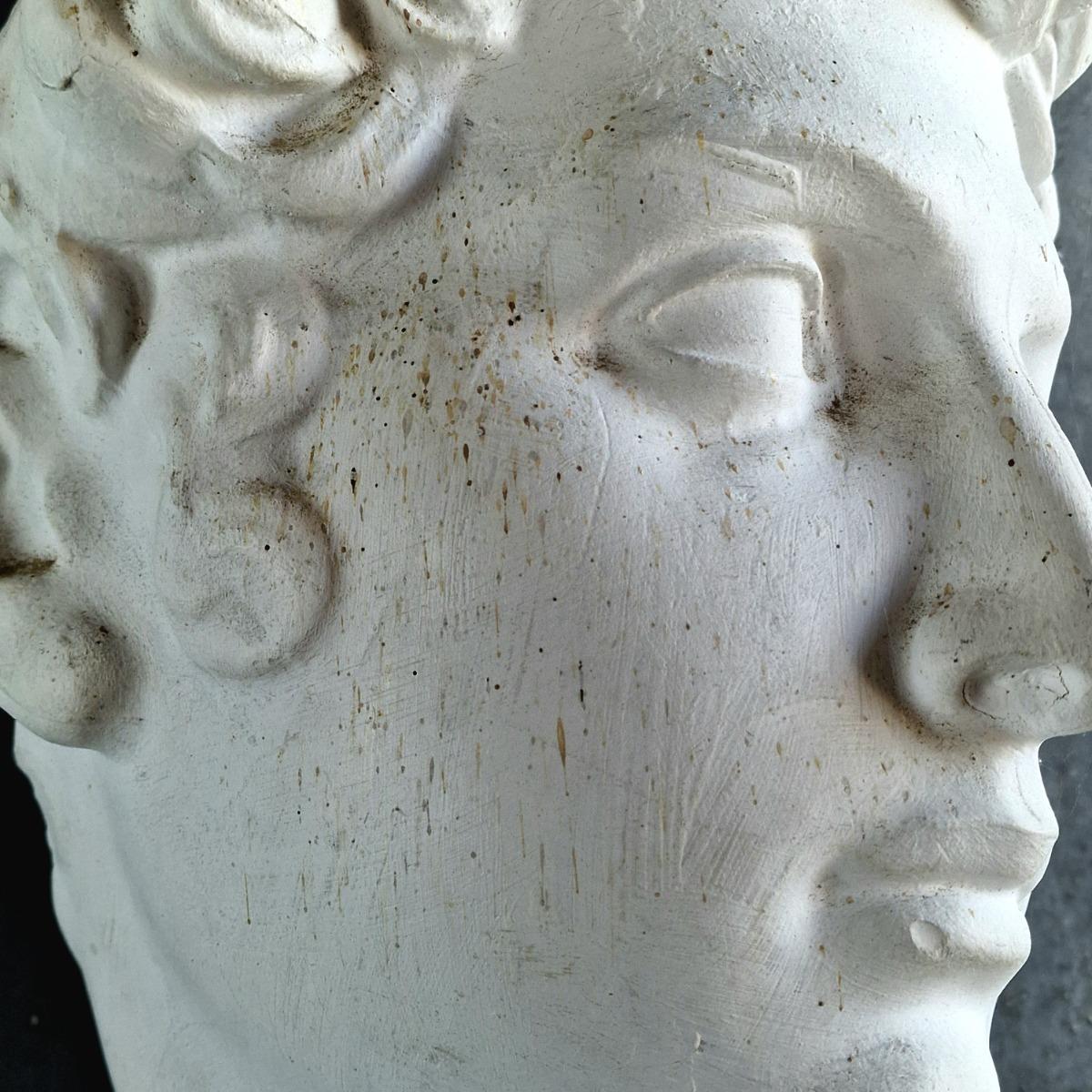 Plaster Greek head