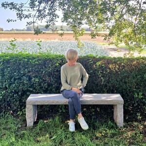 Primitive stone bench