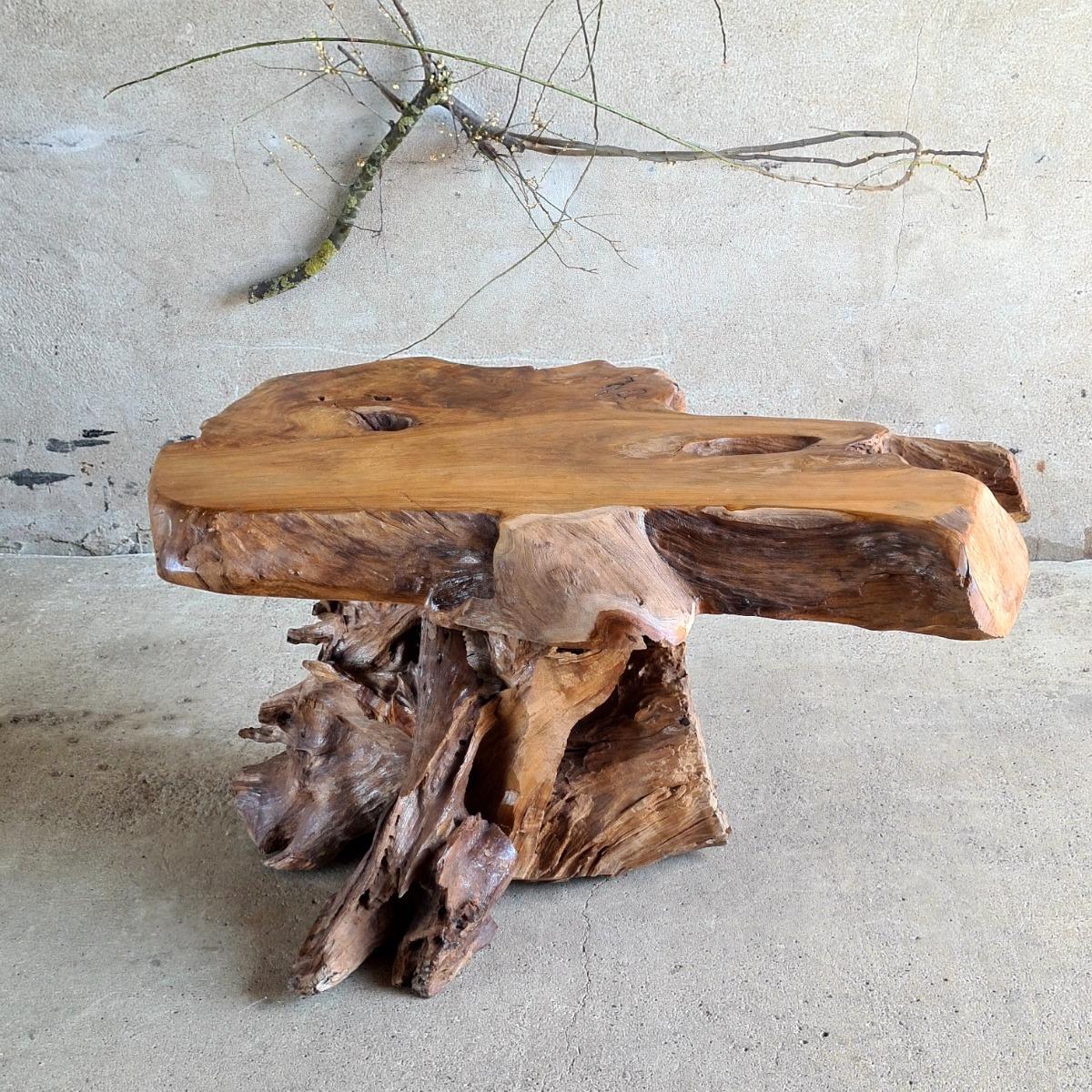 Primitive tree trunk coffee table