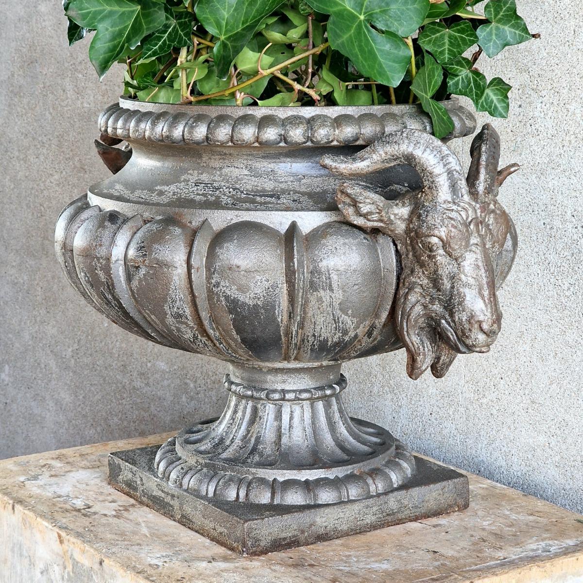 Ram's head urn