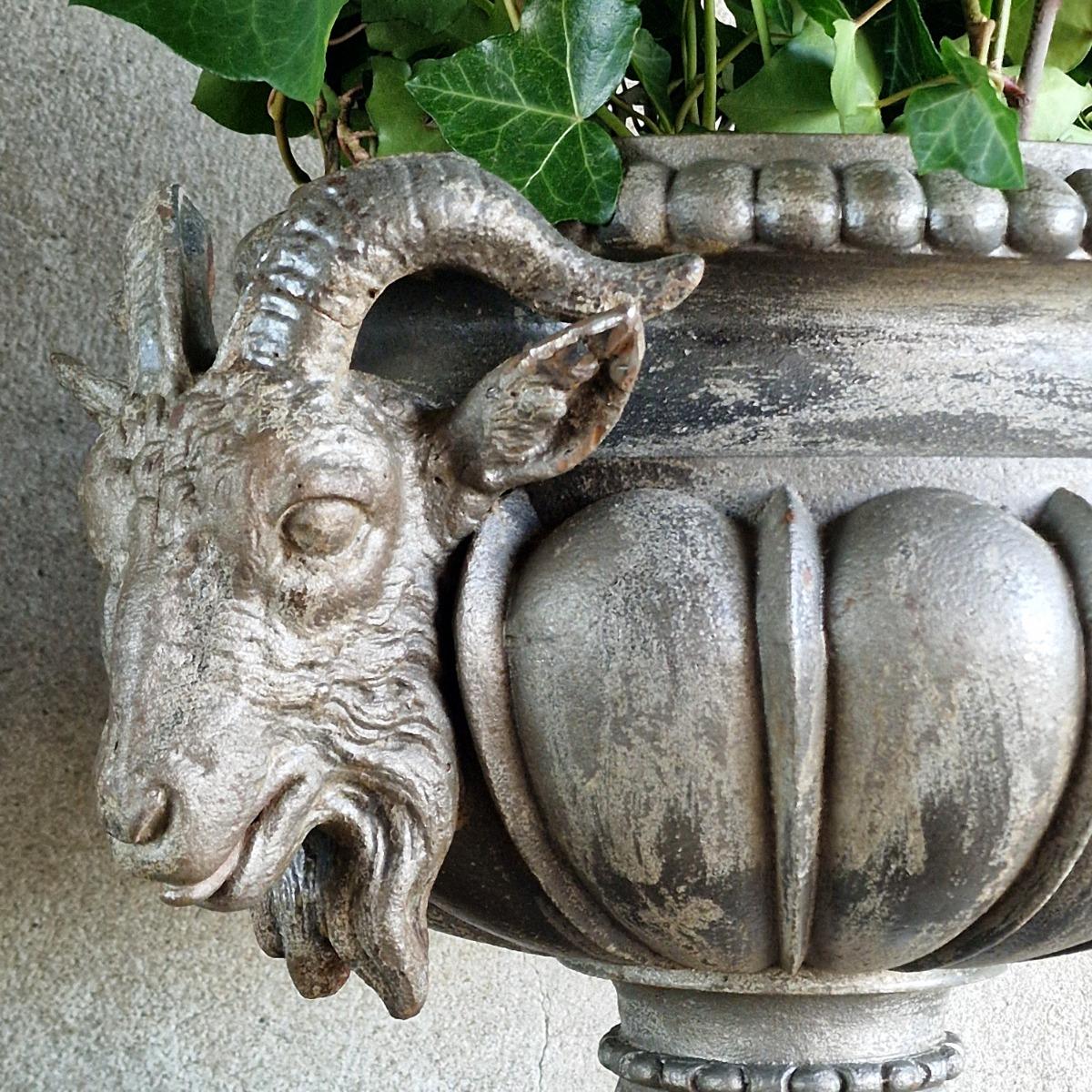 Ram's head urn