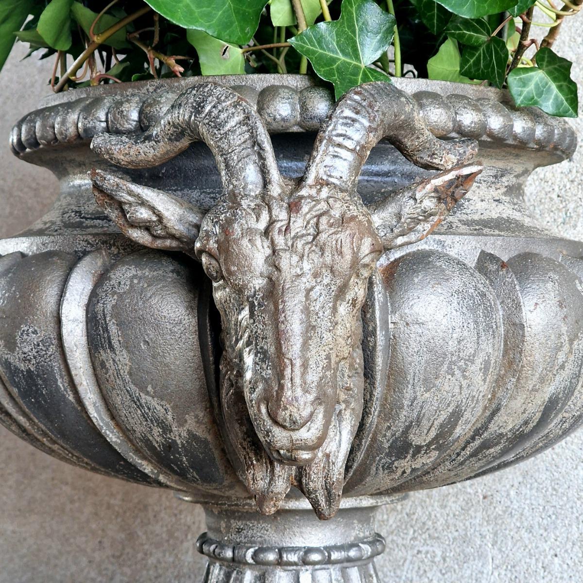 Ram's head urn