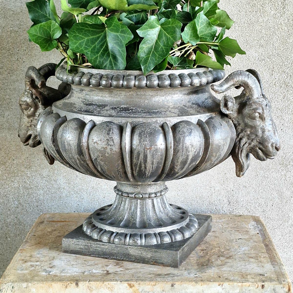 Ram's head urn