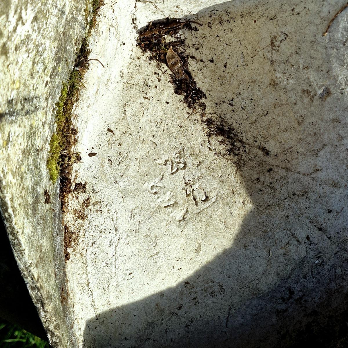 Willy Guhl tooth planter