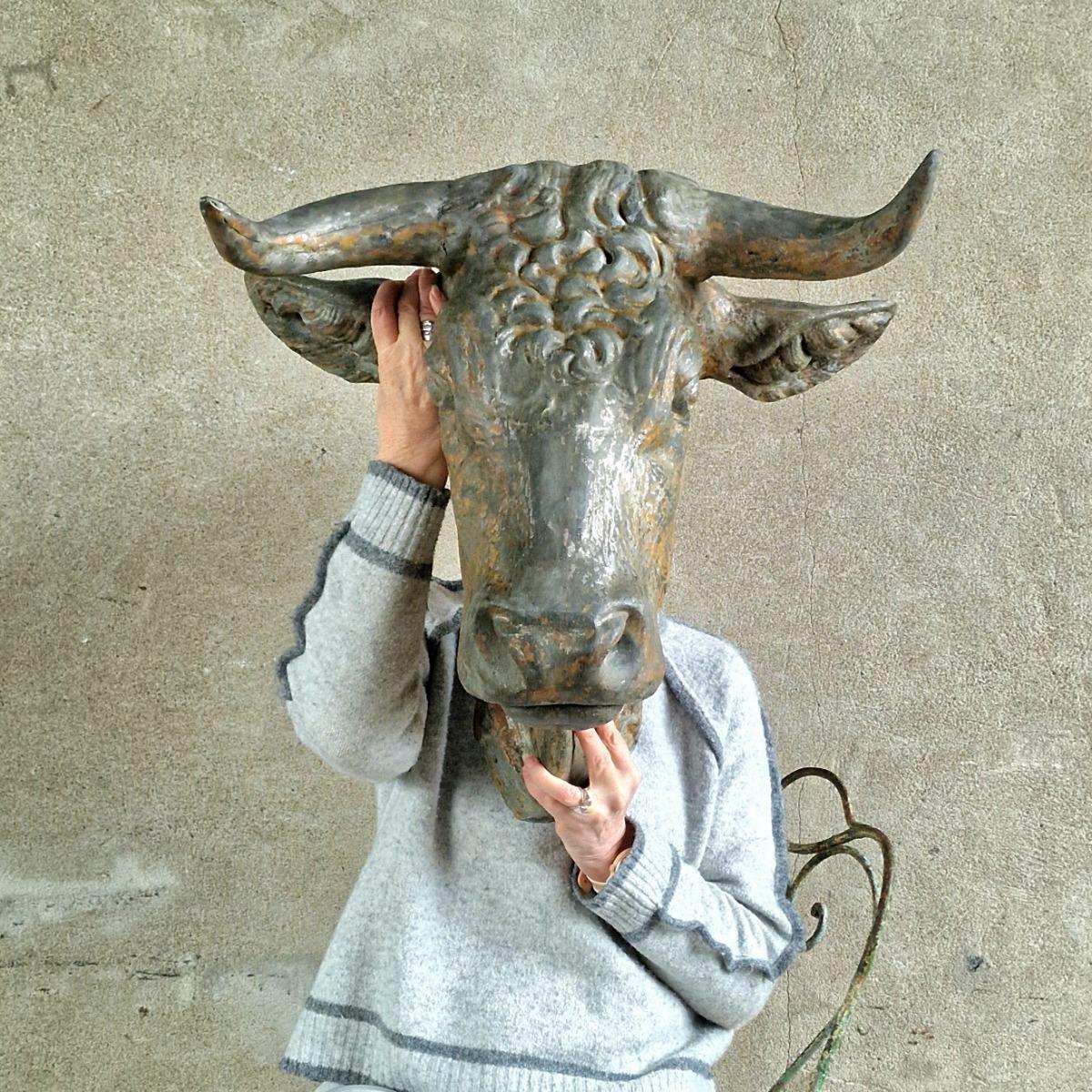 XL zinc bull's head