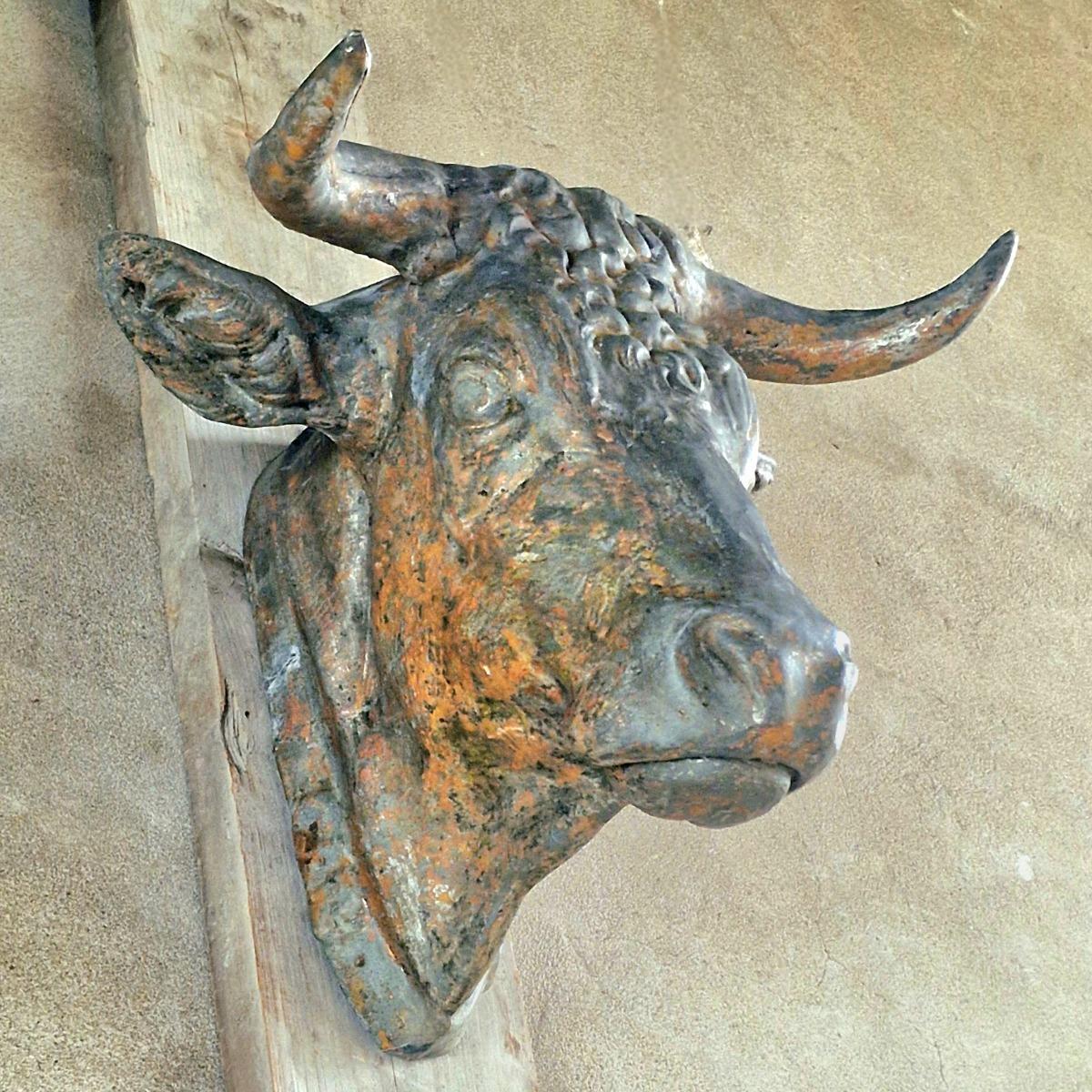 XL zinc bull's head